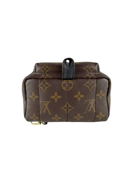 Louis Vuitton Backpack Palm Spring Mini